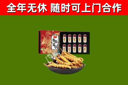 海东市烟酒回收冬虫夏草礼盒.jpg