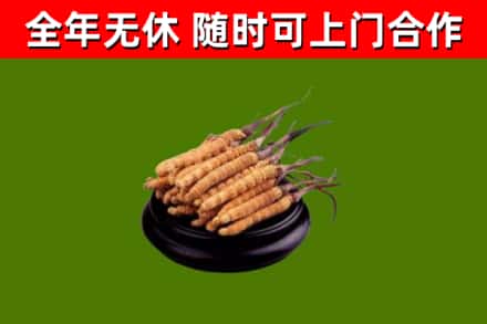 海东市烟酒回收冬虫夏草.jpg